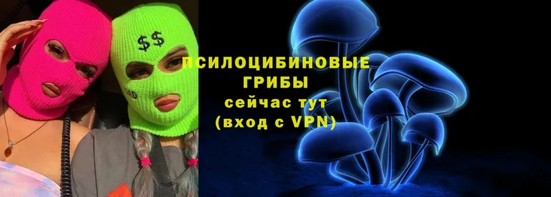 Купить наркотики сайты Советск Амфетамин  A-PVP  Гашиш  Галлюциногенные грибы  Кокаин  Героин  Мефедрон  Канабис 